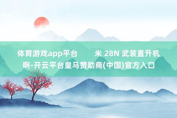 体育游戏app平台        米 28N 武装直升机啊-开云平台皇马赞助商(中国)官方入口