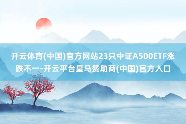 开云体育(中国)官方网站23只中证A500ETF涨跌不一-开云平台皇马赞助商(中国)官方入口