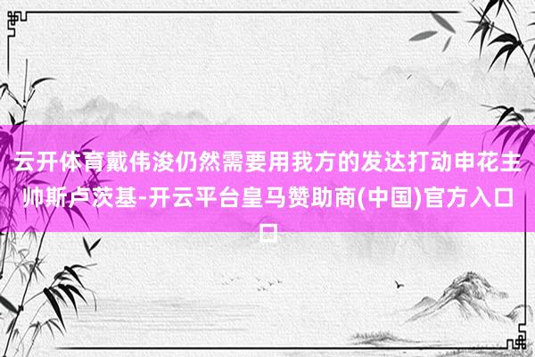 云开体育戴伟浚仍然需要用我方的发达打动申花主帅斯卢茨基-开云平台皇马赞助商(中国)官方入口